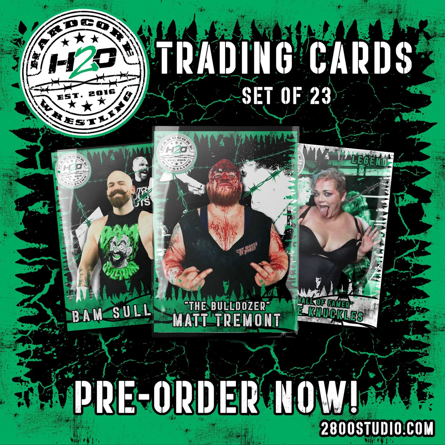 H2O Trading Cards